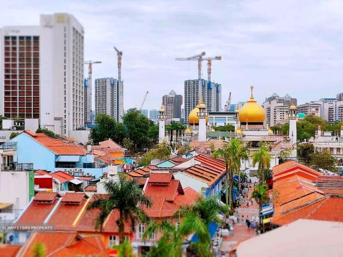 Arab Street (D7), Retail #604230031
